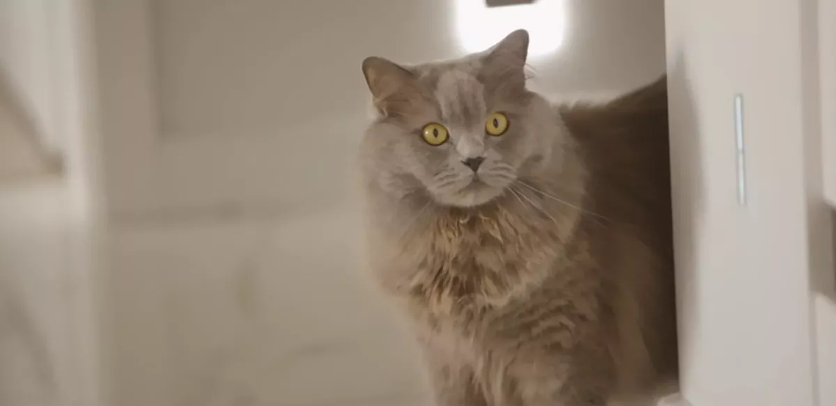 Tak mieszka gwiazda disco polo Małgorzata Grabda Camasutra! Artystka nie mieści się w garderobie?!| Zdjęcia